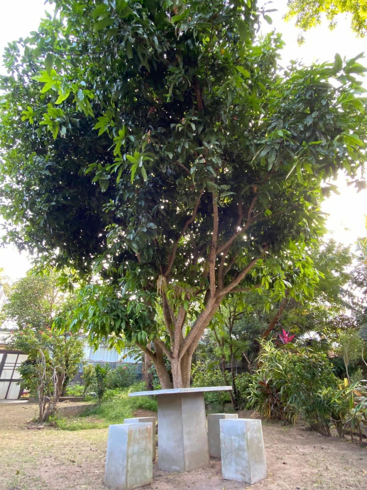 Sujatha Villa Paradise Tangalle Luaran gambar