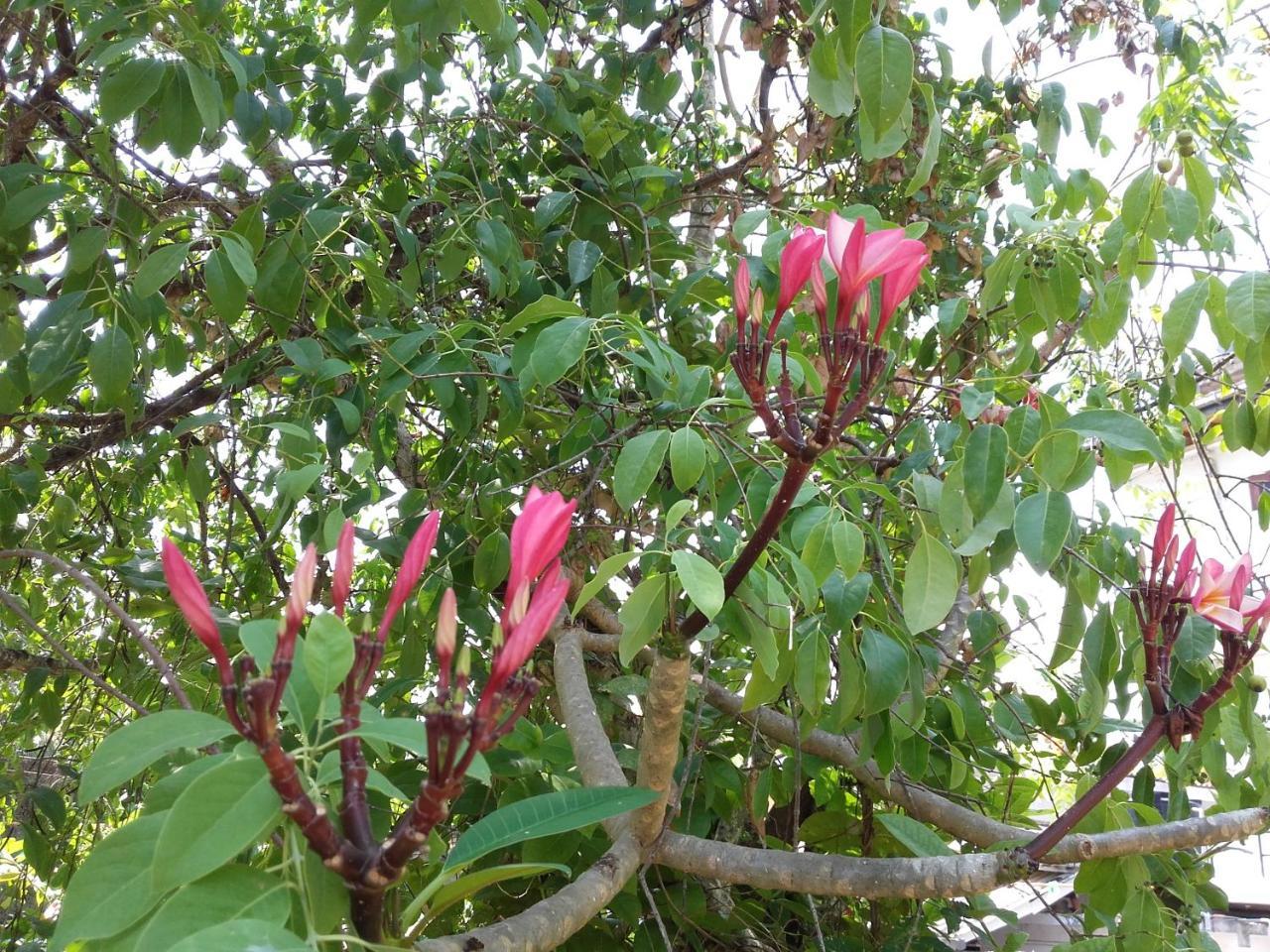 Sujatha Villa Paradise Tangalle Luaran gambar