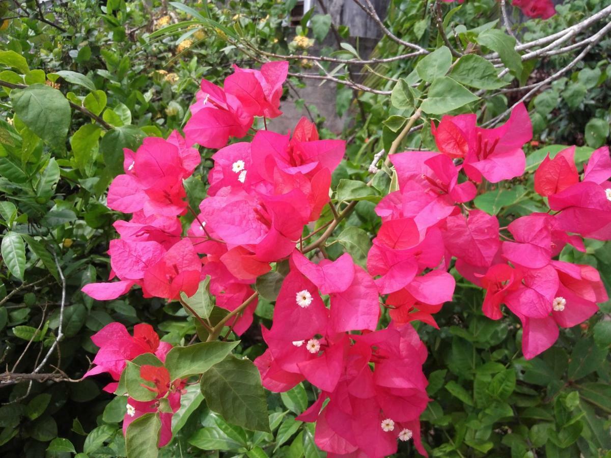 Sujatha Villa Paradise Tangalle Luaran gambar