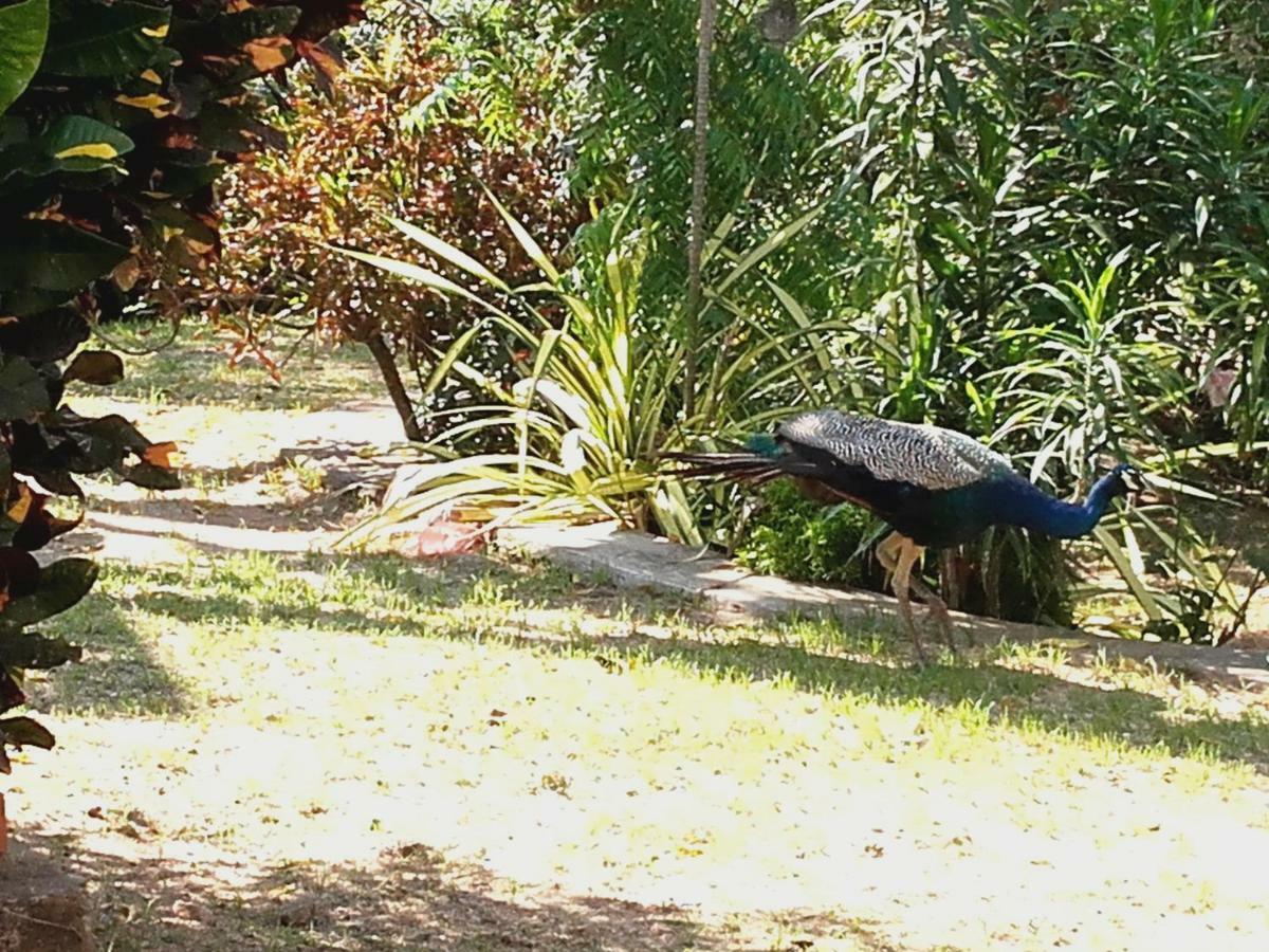 Sujatha Villa Paradise Tangalle Luaran gambar